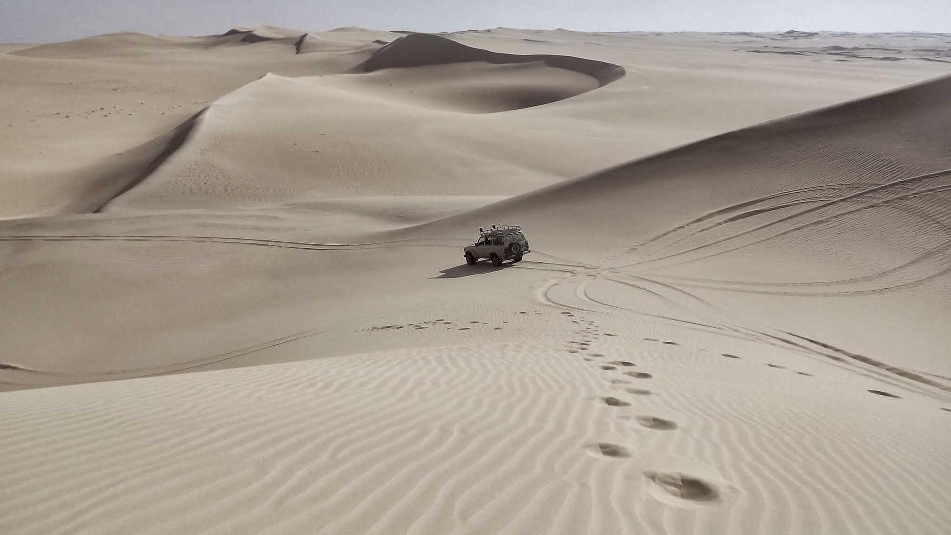 Public Adjuster in Colorado Springs, CO - Apex Adjusting Group