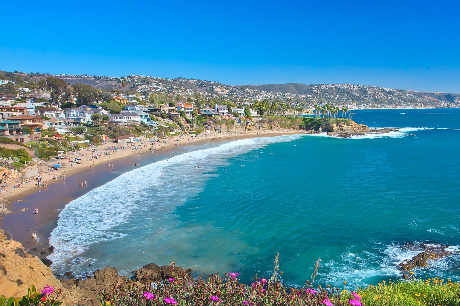 Public Adjuster in Orange County, CA - Apex Adjusting Group