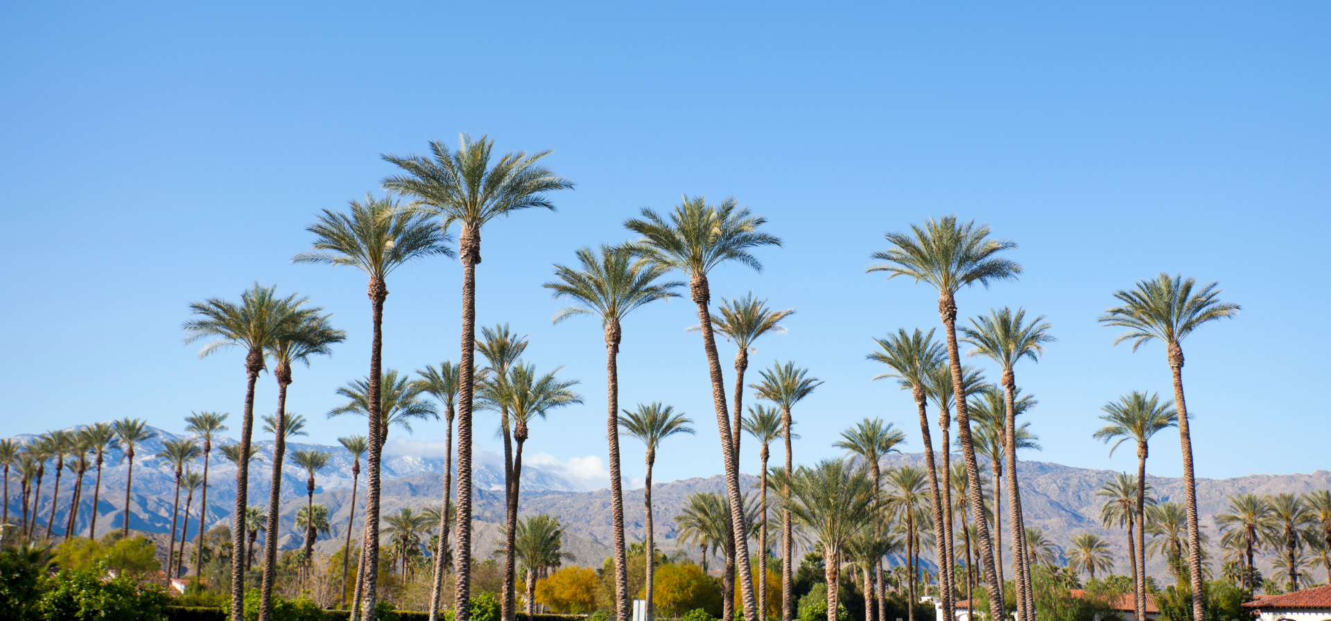 Public Adjuster in Palm Springs, CA - Apex Adjusting Group