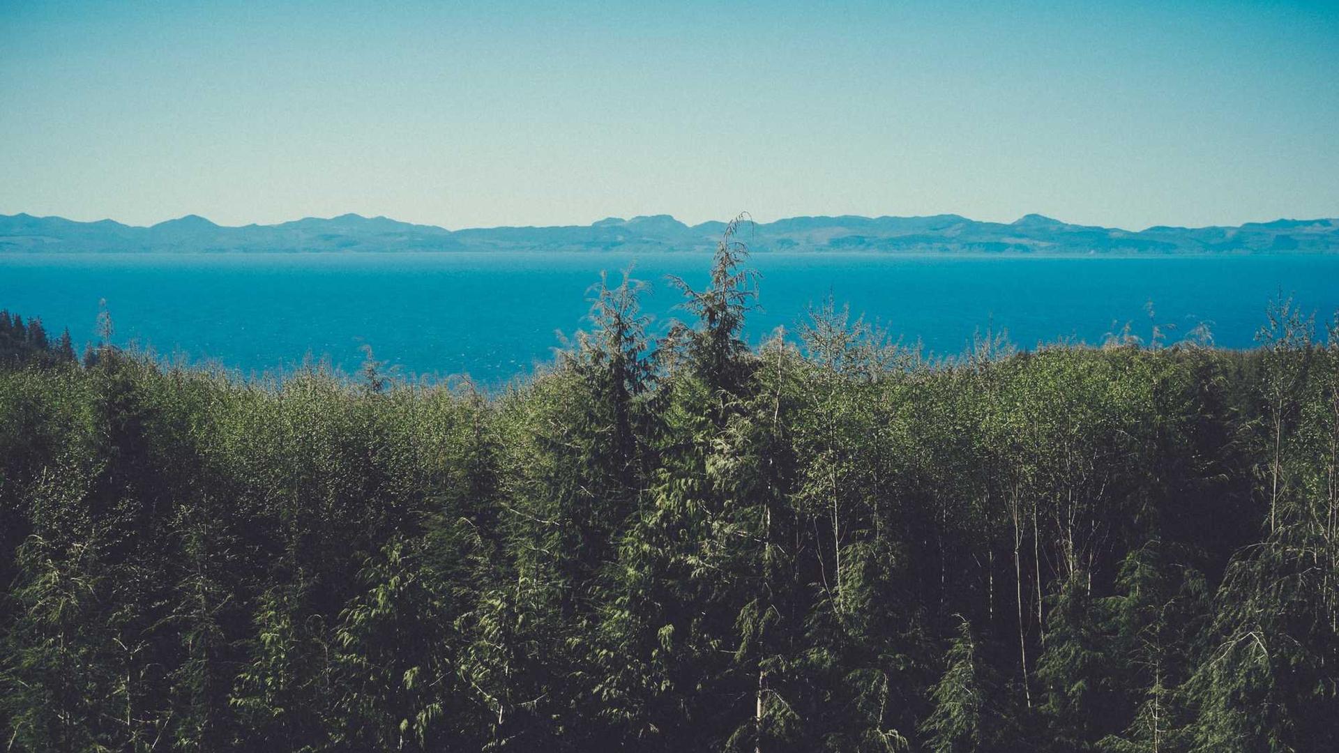 Public Adjuster in Sacramento, CA - Apex Adjusting Group