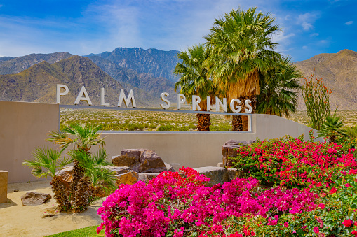Palm Springs Public Adjusters | Apex Adjusting Group