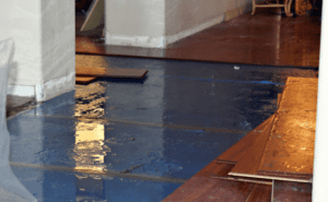 Water Damage Public Adjusters in San Jose | Apex Adjusting Group